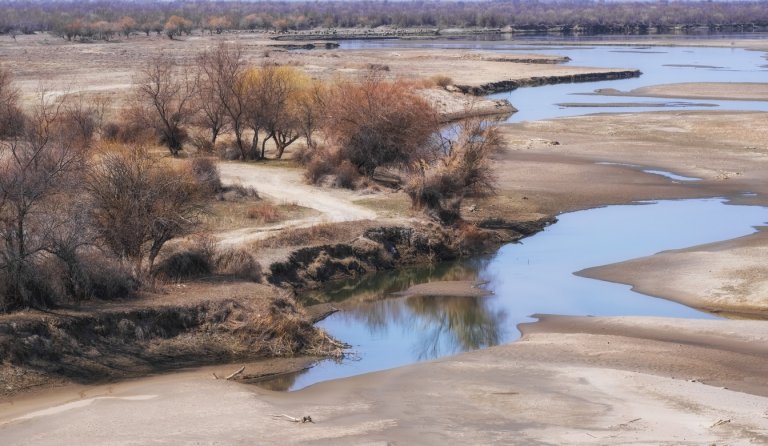 Делтата на Или е част от бъдещия дом на тигрите.