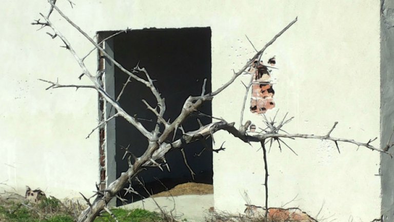 На остров Персин дори и растителността е жестока. Тръни и остри клони си пробиват път сред руините