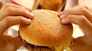hamburger