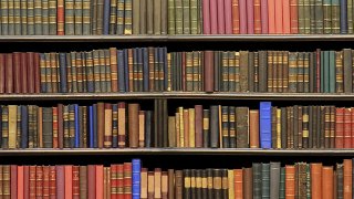 library6
