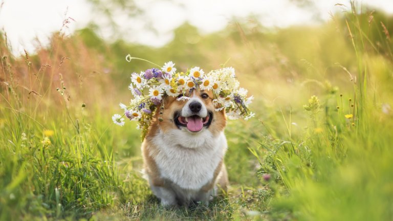 Слънчево време в цялата страна