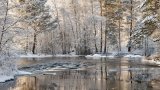 Десетки населени места продължават да са без ток