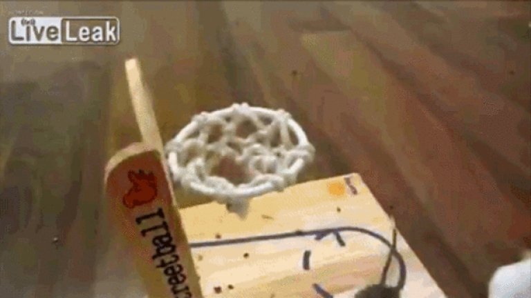 Баскетбол