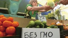 Българите не искат да ядат ГМО, установи проучване на общественото мнение