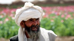 Афганистан има запаси от 12 000 тона дрога - т.е. може да задоволи световното търсене за близо две години, без да има ново производство...