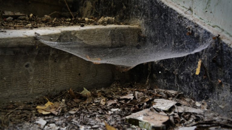 Паяжините са честа гледка из помещенията на изоставената сграда