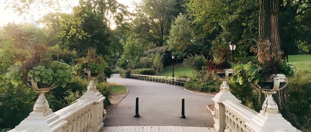 3. Central Park, Ню Йорк, САЩ
Ню Йорк може да бъде доста шумен, но ако търсите спокойствие и възможност за снимки, този парк е точно вашето място.