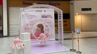 Започва национална кампания в подкрепа на недоносените деца