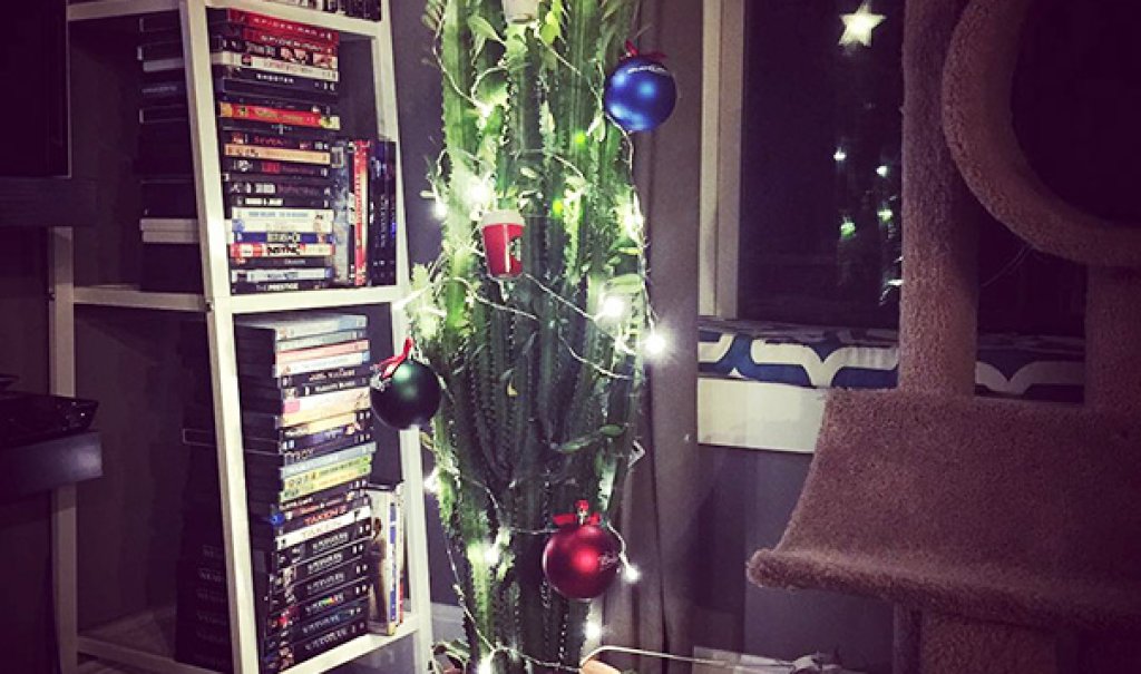 И елхата се превърна в кактус...