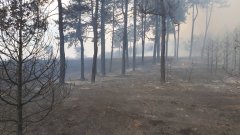 През изминалото денонощие в страната са гасени над 120 пожара