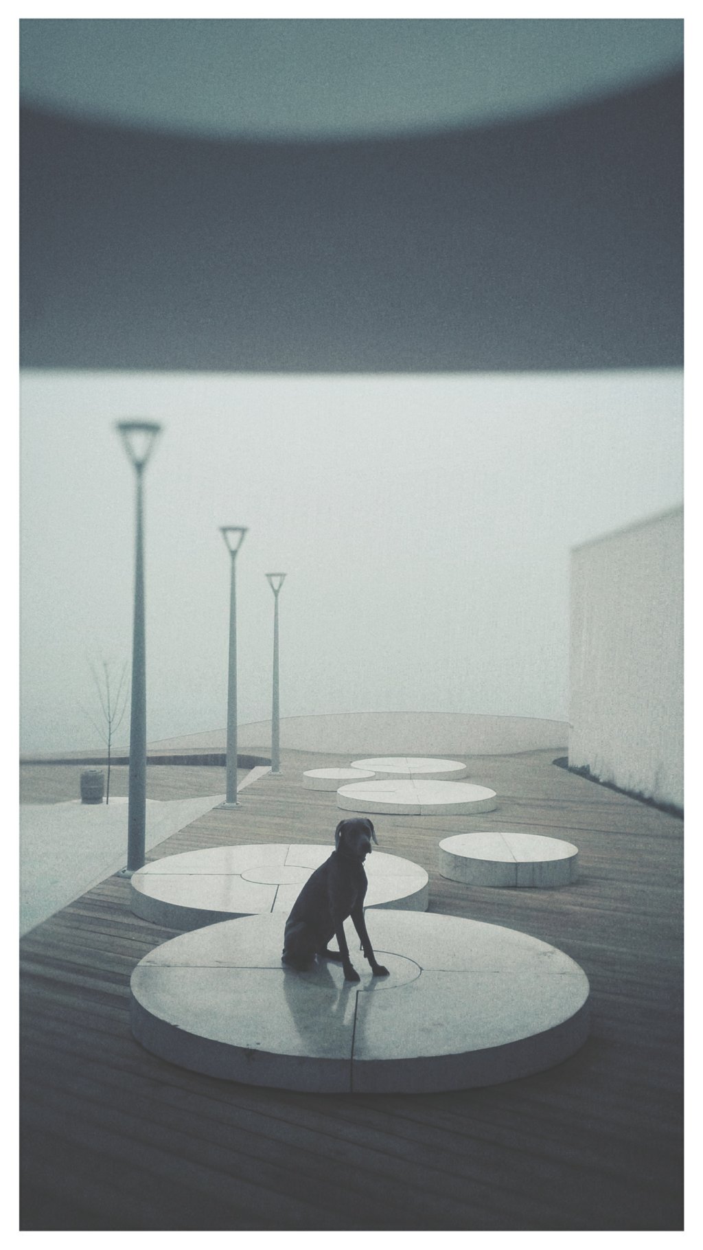 Huawei Next image winner_emiliobgr check in 2