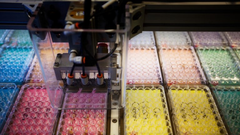 Bayer иска да създаде най-голямата селскостопанска компания в света