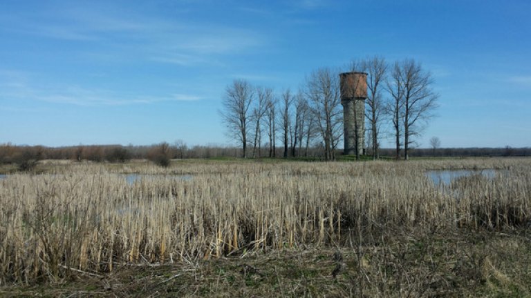 Стара водонапорна кула на територията на природен резерват "Персин"