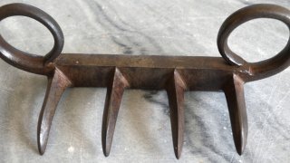 Багх-накх - тигровите нокти на Индия