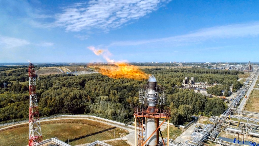 A burner for burning associated gas at a petrochemical plant