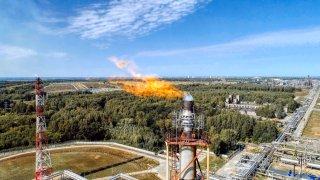 A burner for burning associated gas at a petrochemical plant