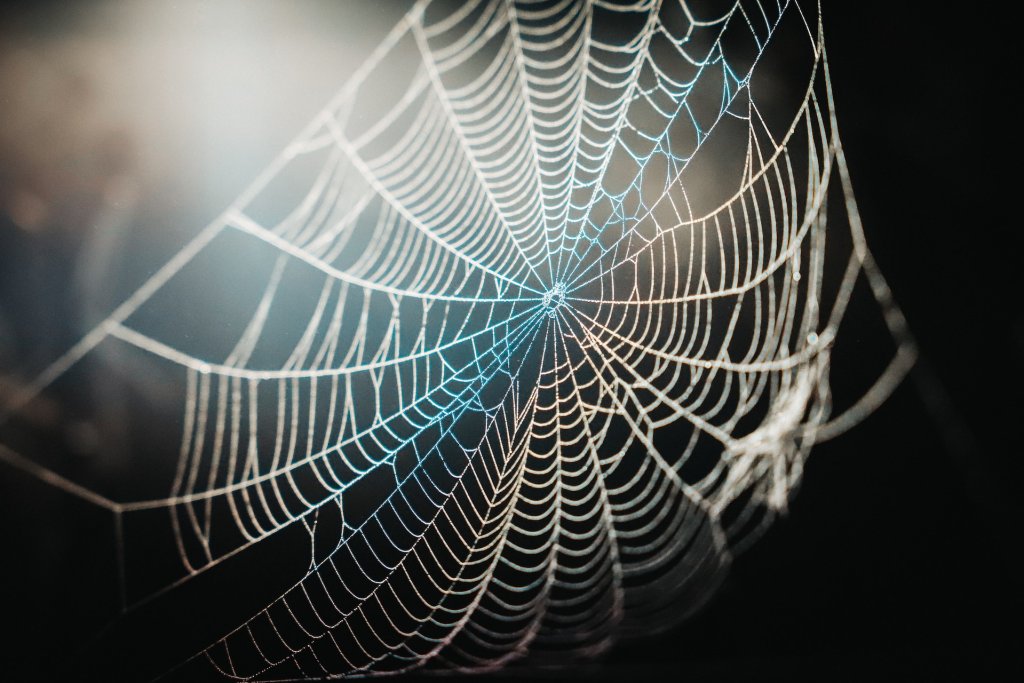 chase-mcbride-3EgcrRgBPuQ-unsplash