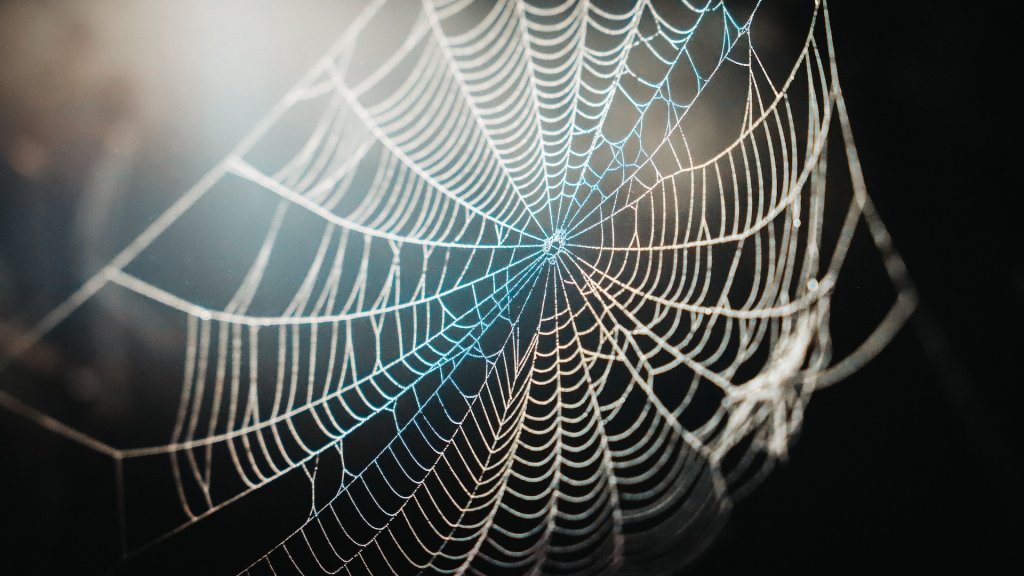 chase-mcbride-3EgcrRgBPuQ-unsplash