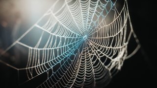 chase-mcbride-3EgcrRgBPuQ-unsplash