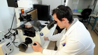 nanotechnologist