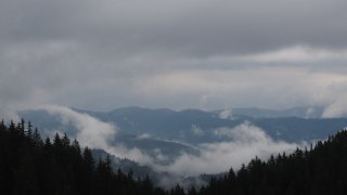 IMG_6435