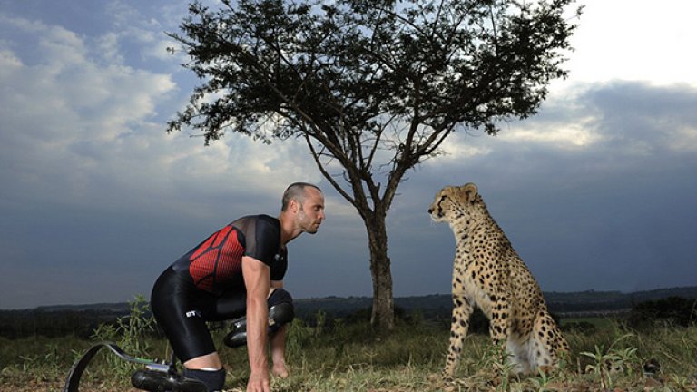 Оскар Писториус застана лице в лице с леопарда Антъни в Претория. Южноамериканецът беше голямата звезда на Параолимпиадата, но сега е обвинен в убийство