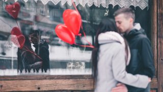 freestocks-Qx5QNarbrUM-unsplash