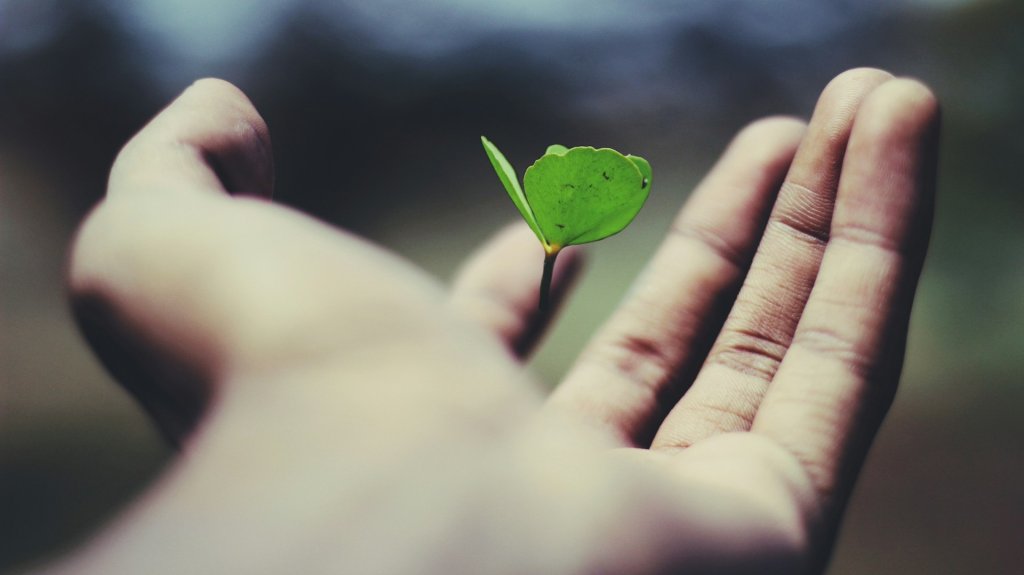 name_-gravity-_AdUs32i0jc-unsplash