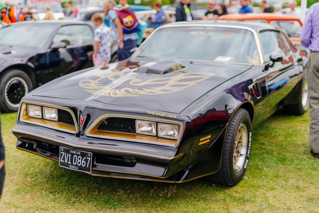 “Пищящо пиле” - Pontiac Firebird Trans Am

Типична американска "мускулеста" класика, която сме виждали в немалко сериали и филми, включително “Смоуки и бандита” с Бърт Рейнолдс. Откъде обаче този странен прякор?

Идва от необичайното решение на производителя Pontiac да предложи като допълнителна екстра за 60 долара принтиране на феникс върху предния капак. Още по-интересното е, че това се оказва успешен ход и мнозина купувачи си избират опцията.