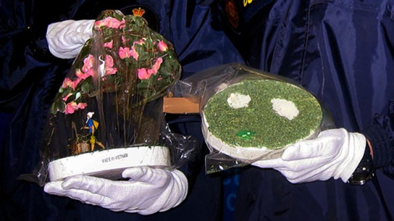 Основата на това растение е изработена от компресиран ефедрин