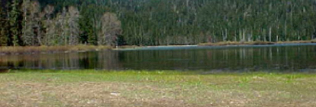 LostLake_LinnCo