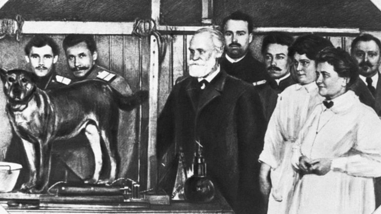 Иван Павлов (1849-1936) 
Най-известното откритие на руския учен Иван Павлов се случва по време на изследване на храносмилателната система на кучетата - откритието, че кучето отделя слюнка, преди да получи храна. 
Когато Павлов храни кучетата, бие камбанка, така че животните бързо започват да асоциират звука с яденето. След известно време ученият установява, че кучетата започват да отделят слюнка като реакция на самия звук от камбаната. 
Класическото обуславяне, което Павлов въвежда в науката, има множество приложения в живота - включително при лечението на фобии и аверсивната терапия.