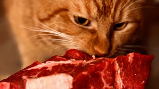 Нека не си правим опасни експерименти