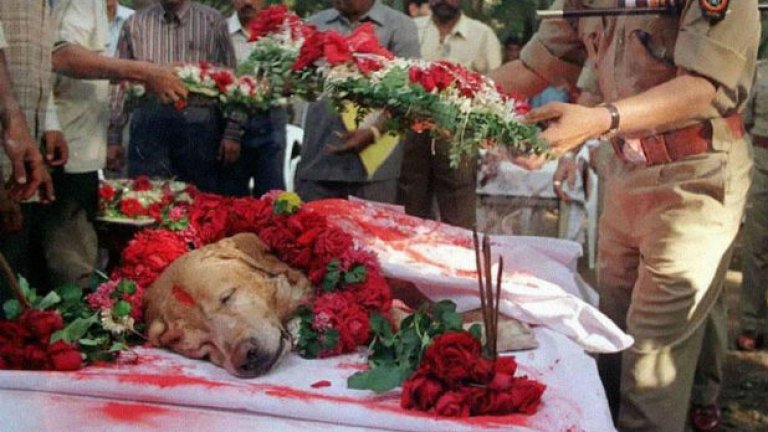 Погребението на полицейското куче, открило стотици килограми експлозив в Мумбай през 1993 г.