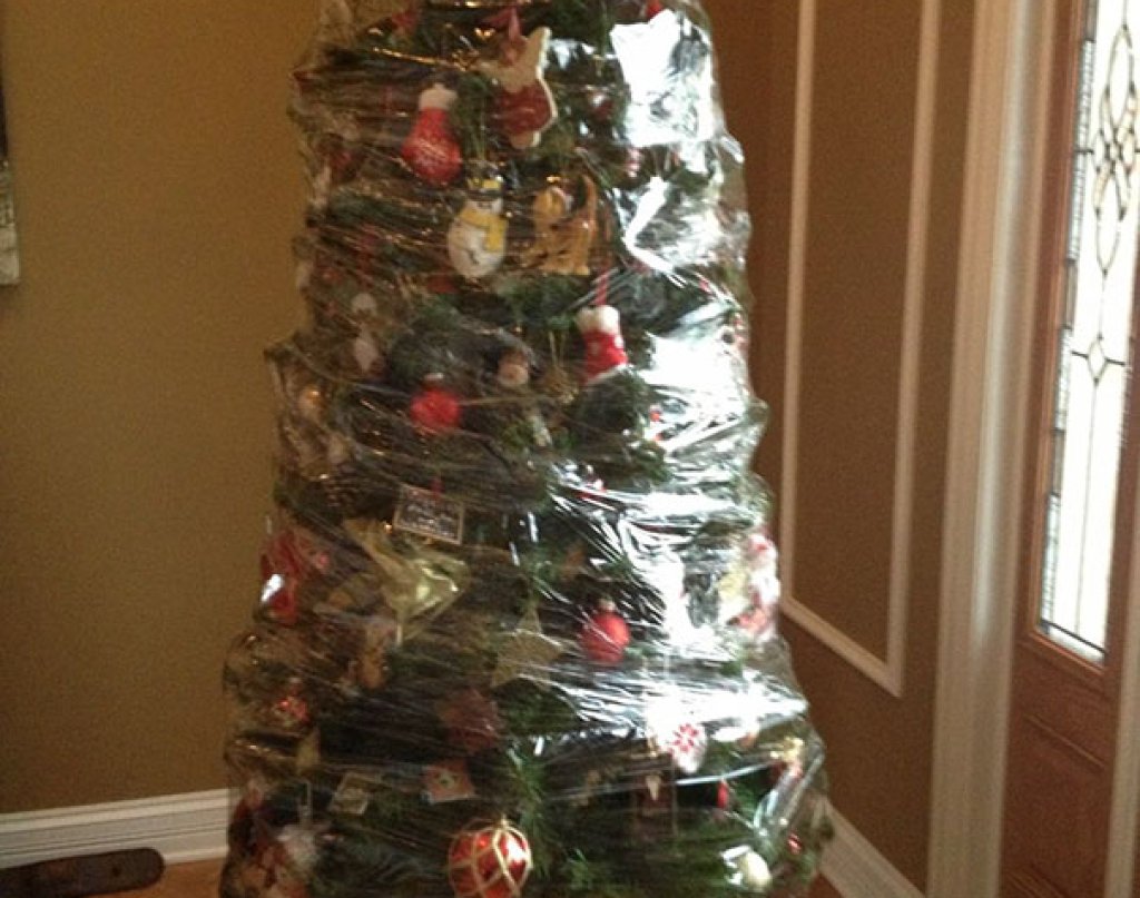 Спасена както от домашни любимци, така и от палави деца