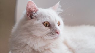 mayer-tawfik-T6BDU8vPgtg-unsplash
