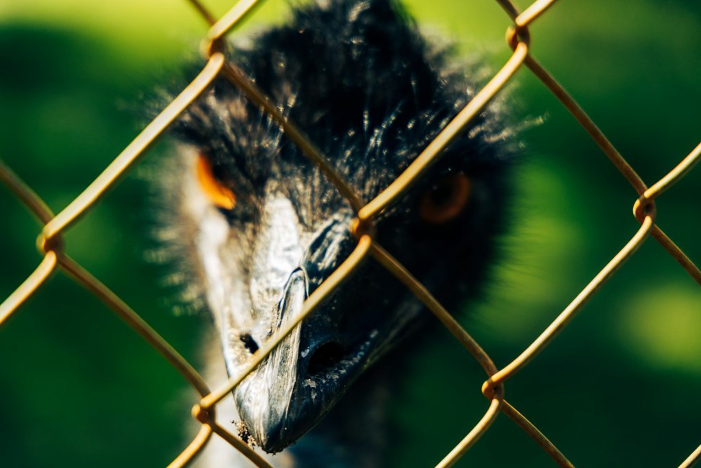j-k-davies-44rgRRbvfRk-unsplash