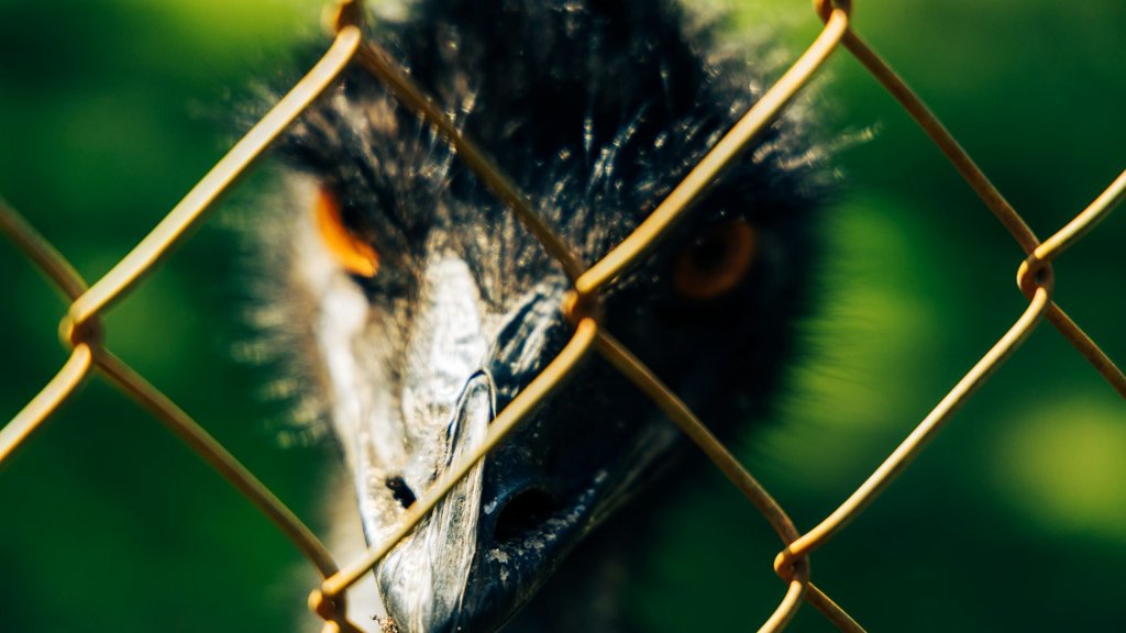 j-k-davies-44rgRRbvfRk-unsplash
