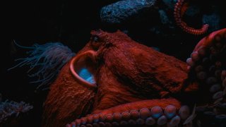 rivage-IKXHeZw2XoY-unsplash