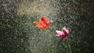 michael-podger-N-5x9gDWjs0-unsplash