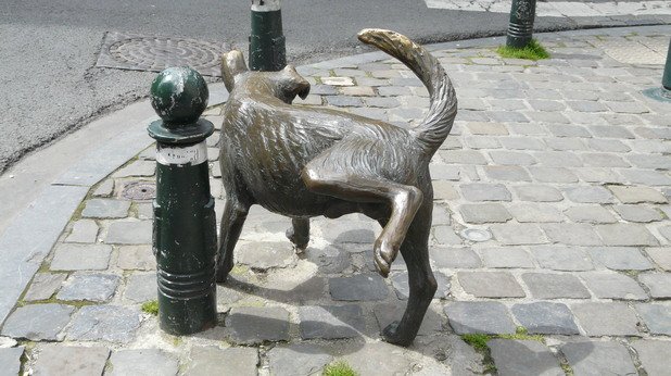 И, разбира се, двойката статуи имат и своя домашен любимец, известен като Zinneke Pis. Бронзовата статуя на куче в естествен размер е създадена в края на 90-те години и определено предизвиква усмивките на минувачите 
