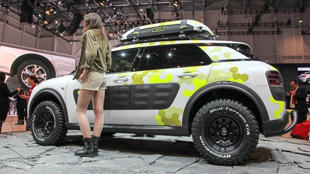 C4_Cactus_Adventure-90221