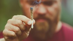 Според данните възрастните хора не бива да приемат повече от 40 милиграма THC седмично