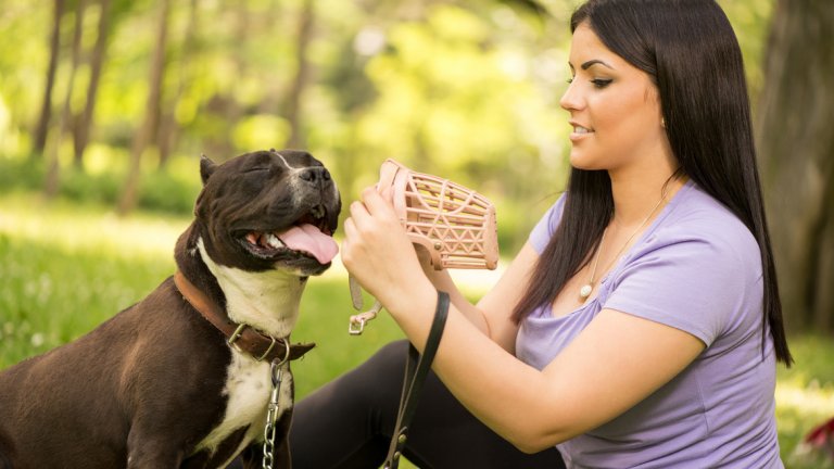 Аз може да нямам куче, но намордник няма да му сложа!