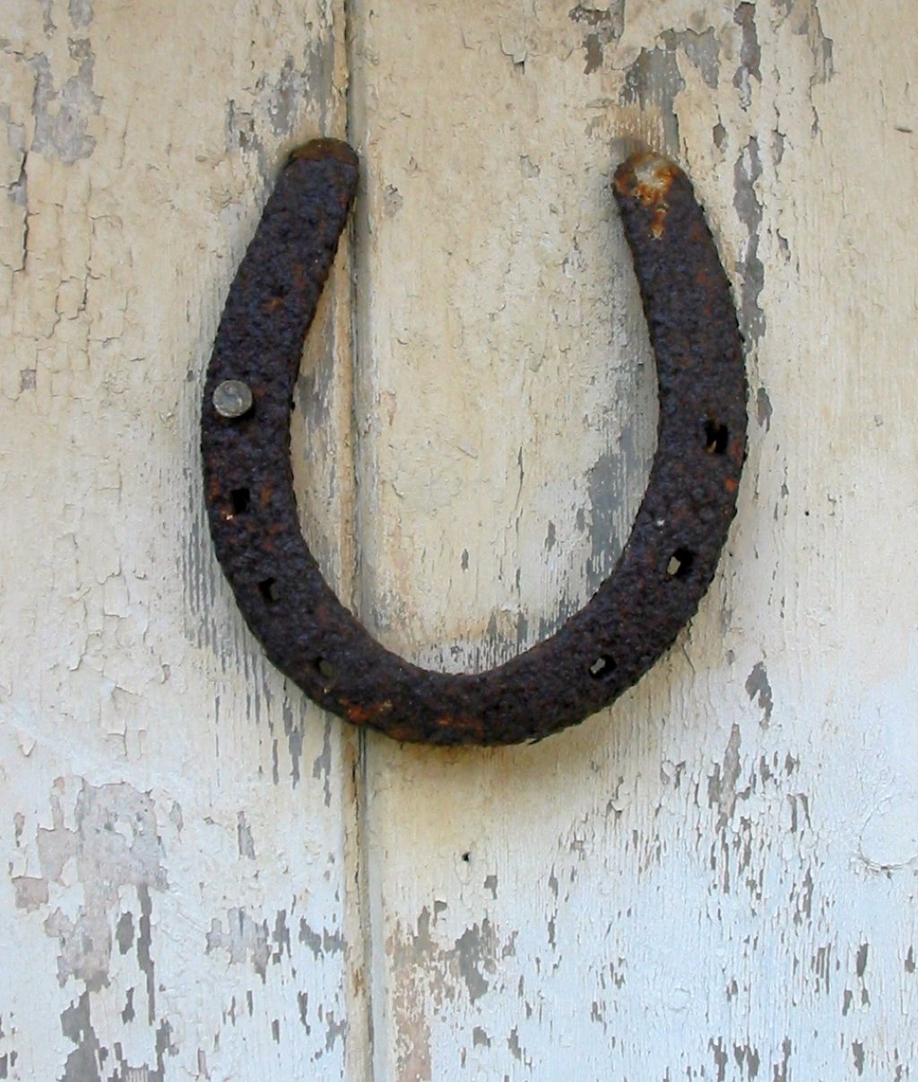 Horseshoe_lucky_on_door