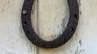 Horseshoe_lucky_on_door