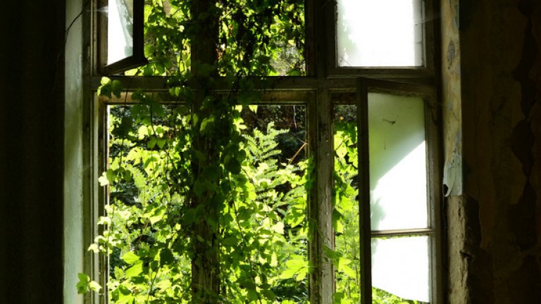 Природата нахлува през разбитите прозорци на семинарията в Черепиш