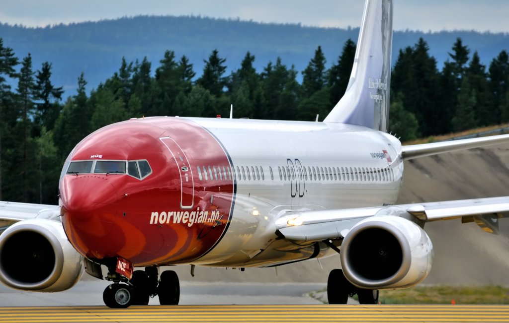 noe_2010_1