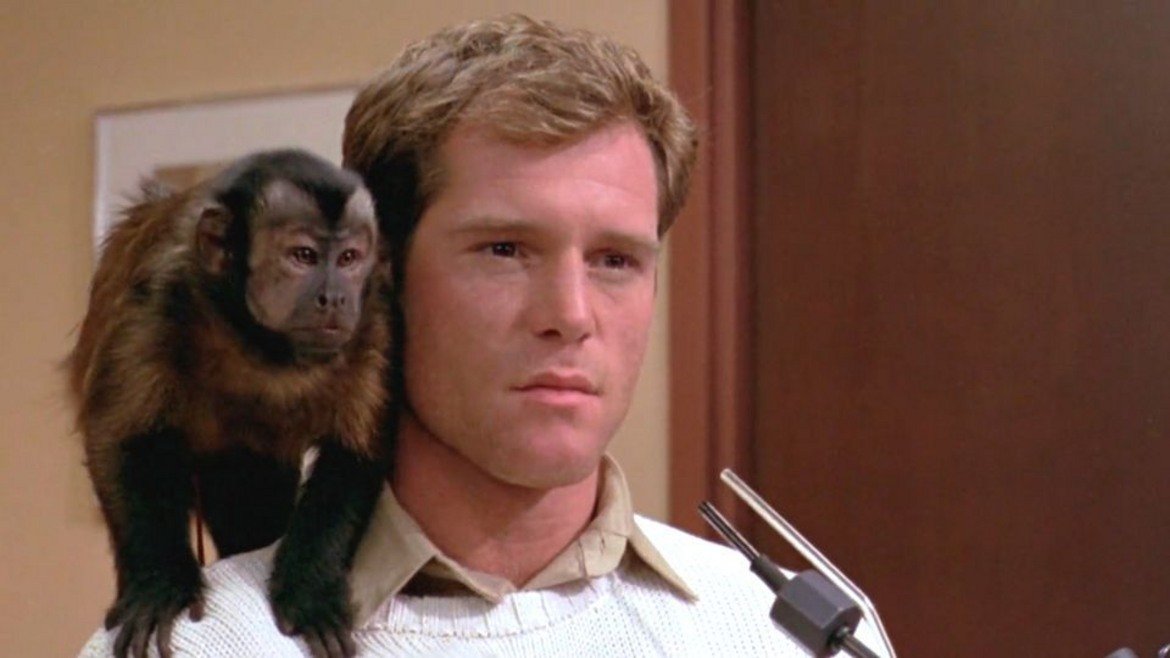 Monkey Shines / Маймунска привързаност (1988 г.)

Всяко едно нещо може да е основа на хорър филм, включително и маймуните. В този филм главният герой Алън е атлет, който остава инвалид след инцидент. Негов приятел, учен, му предоставя един от своите експерименти – интелигентна маймуна, която да служи като помощник на Алън. Отношенията между човек и маймуна стават смущаващо дълбоки, особено когато животното става проводник на гнева на бившия атлет към хората, които са го засегнали.
