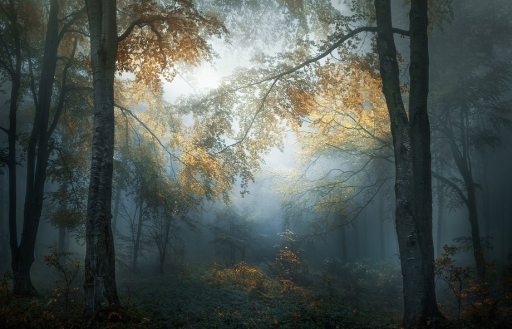 2347_4831_VeselinAtanasov_Bulgaria_Open_LandscapeNature2018Opencompetiti...